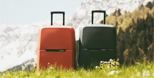 samsonite-magnum-eco