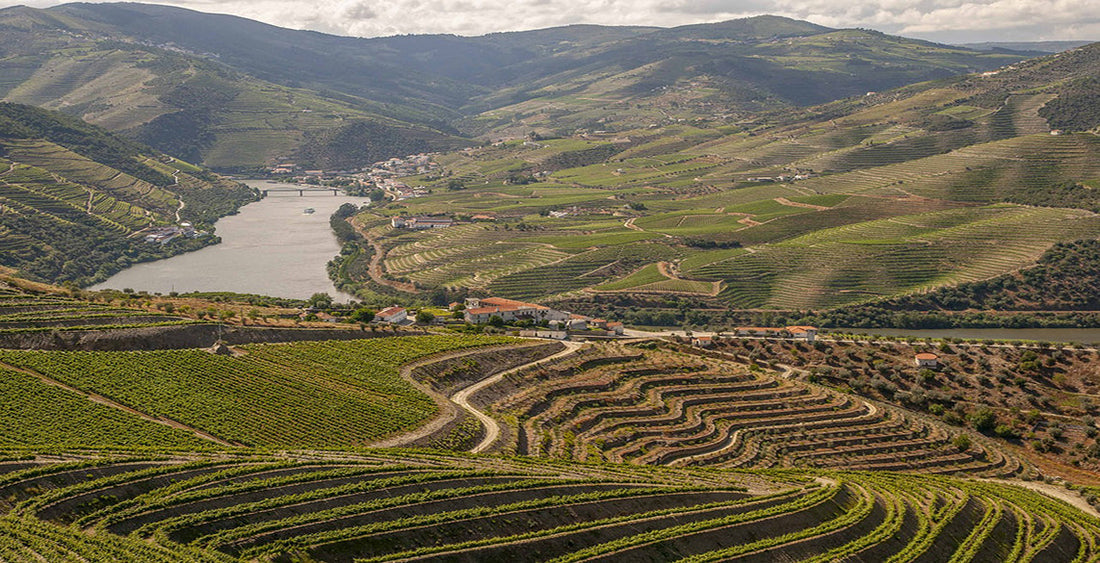 cruise-on-the-douro-our-best-tips