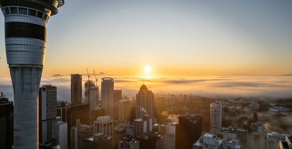 Auckland, New Zealand: what to see in the city